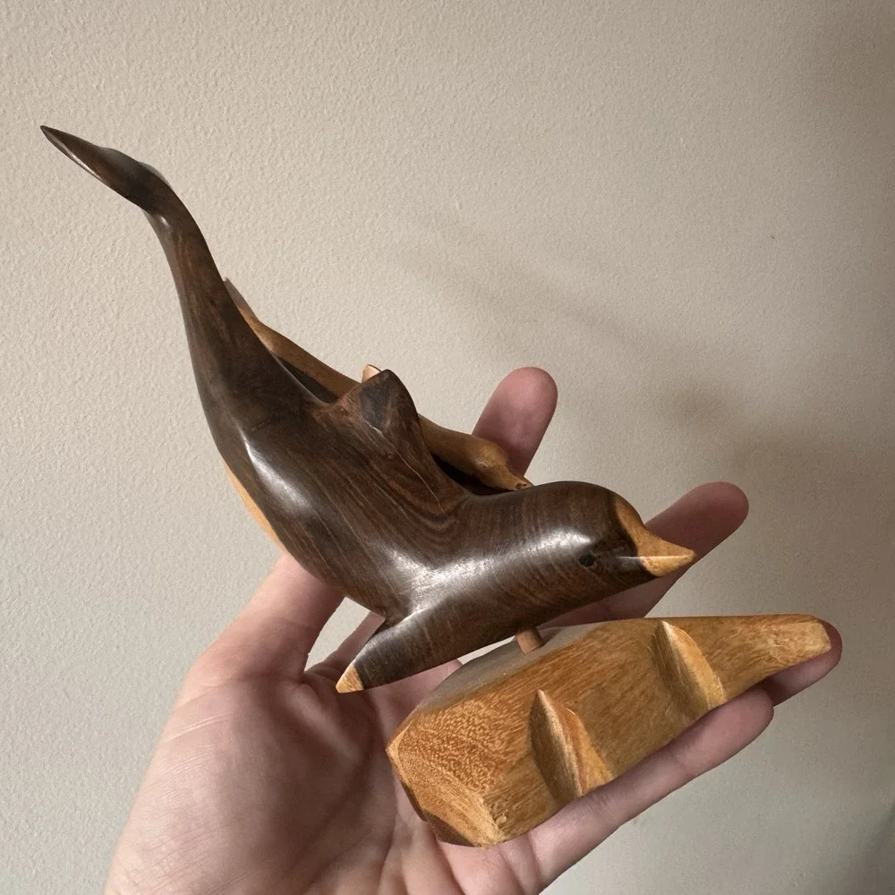 Beautiful Dolphins 7